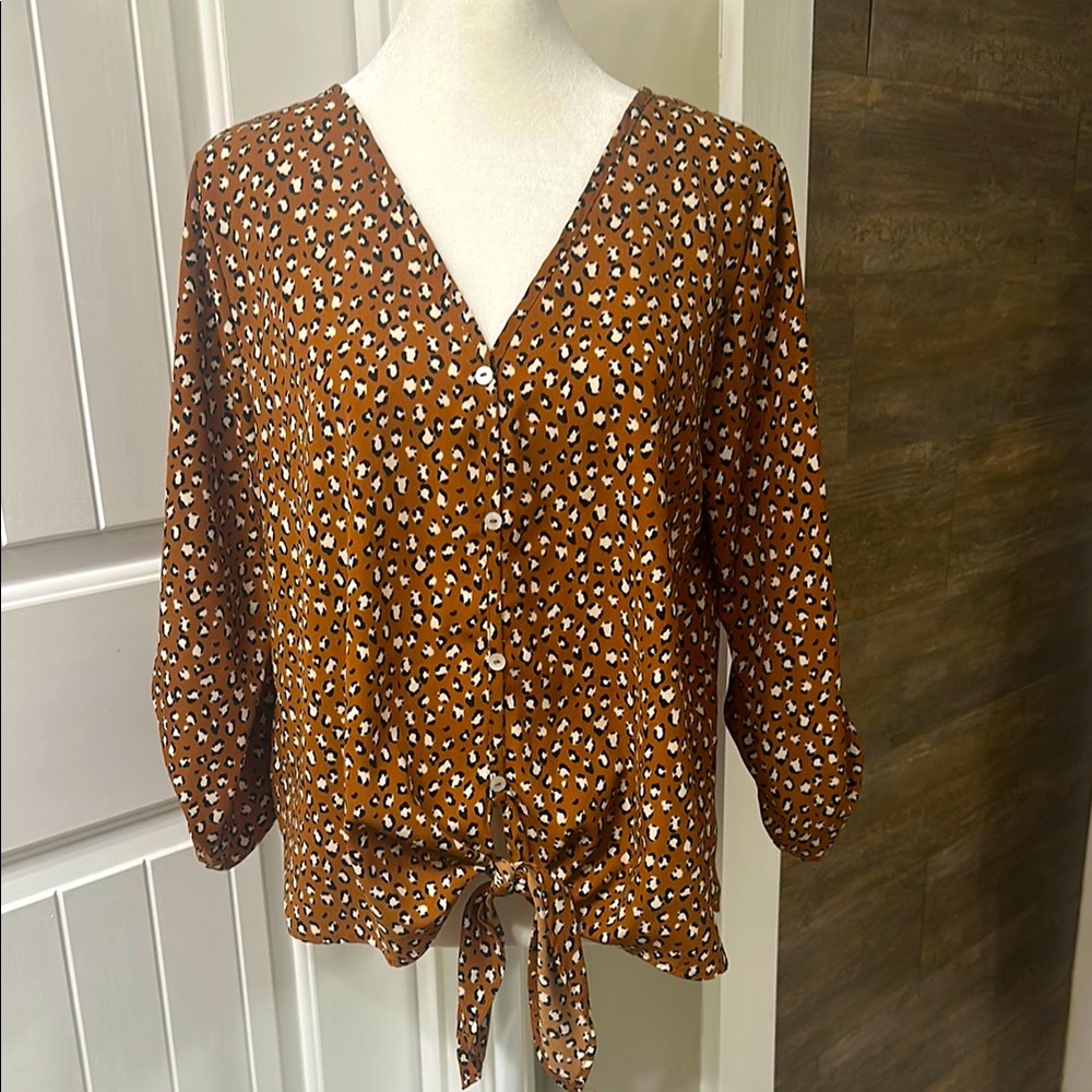 Brown Button-Up Blouse with Tie Front